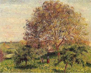 Camille Pissarro : Walnut Tree in Spring